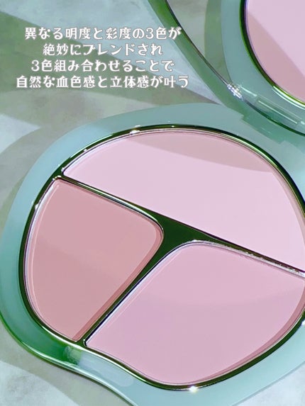 TIMAGE  3色チークパレット/TIMAGE/パウダーチークを使ったクチコミ(2枚目)