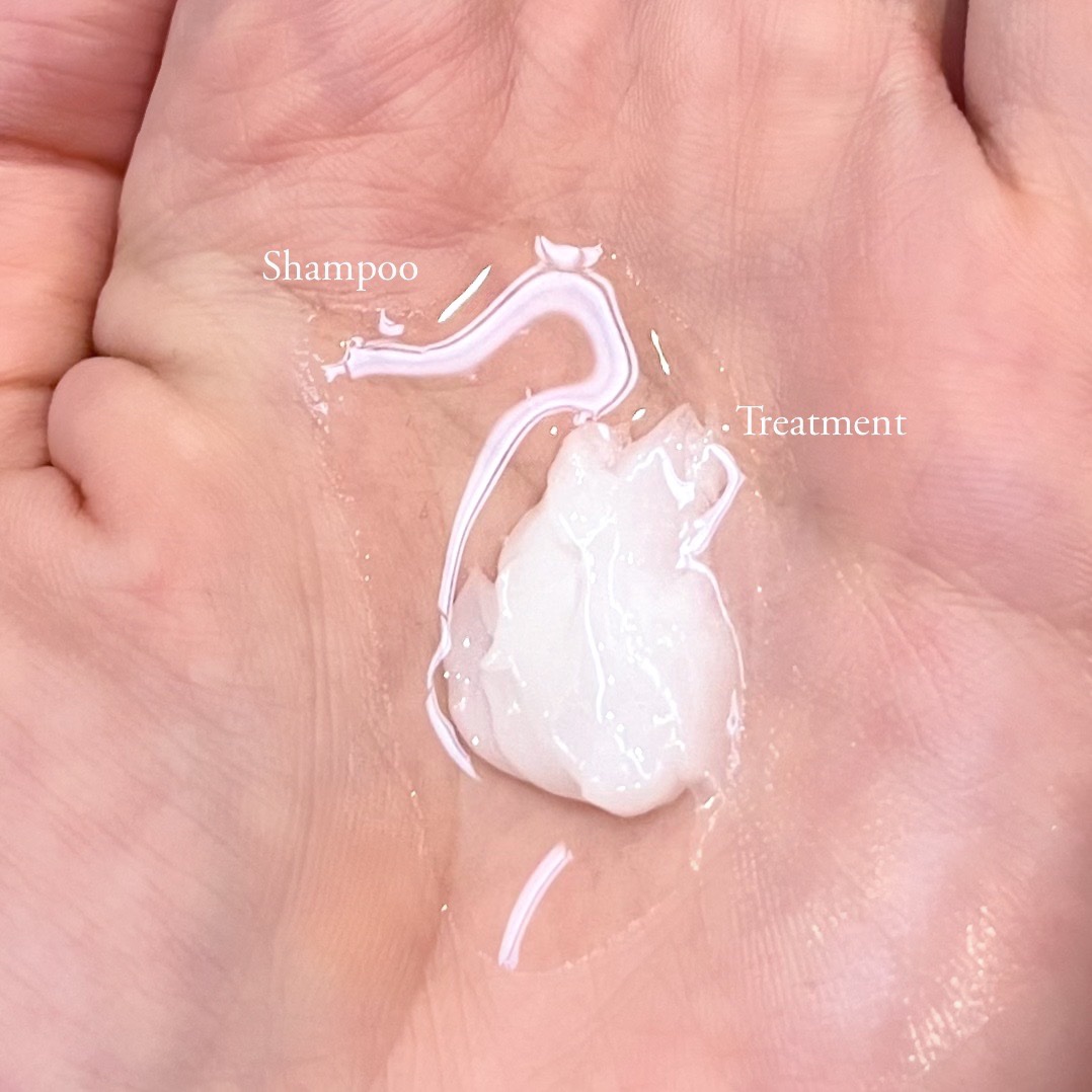 ピオラ　ボタニカルボリュームシャンプー/トリートメント/pieora/市販シャンプーを使ったクチコミ（2枚目）