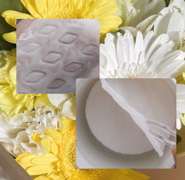 salt wa cica pad/OHADA/シートマスク・パックを使ったクチコミ（2枚目）