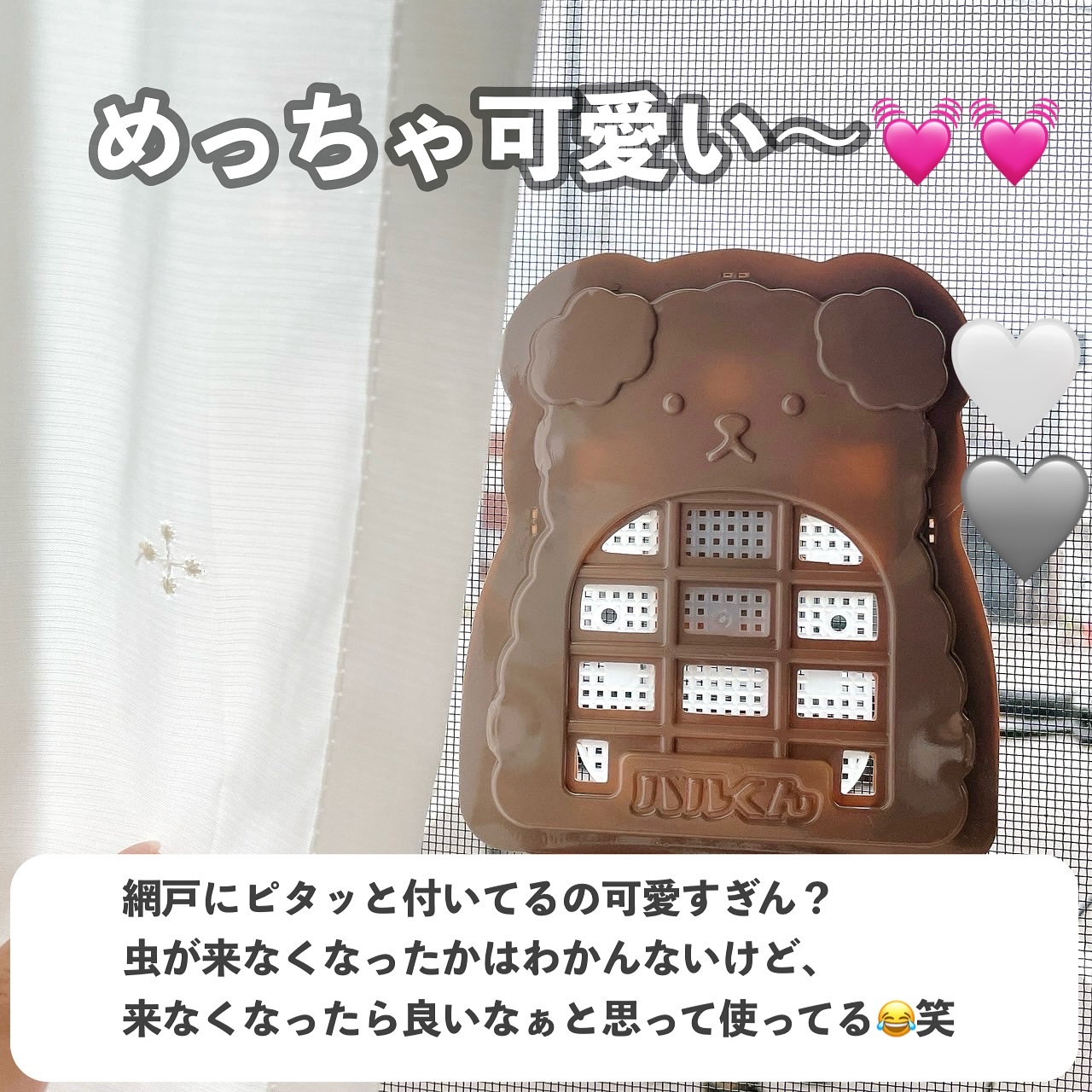 バルくん 虫こないでネット 掛け置きタイプ くま/DAISO/その他を使ったクチコミ（3枚目）