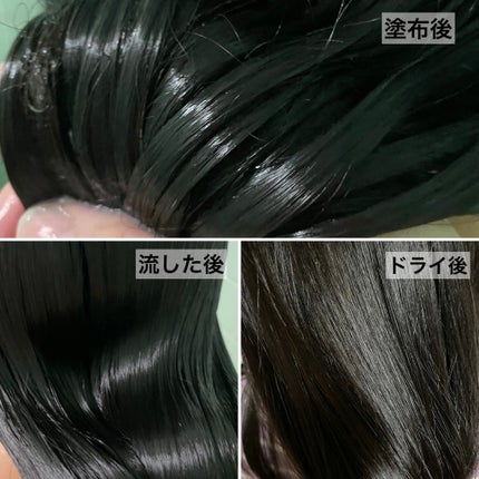 リペアターンジェラートヘアパック バウンシーベリー/リリーイブ/洗い流すヘアトリートメントを使ったクチコミ(4枚目)