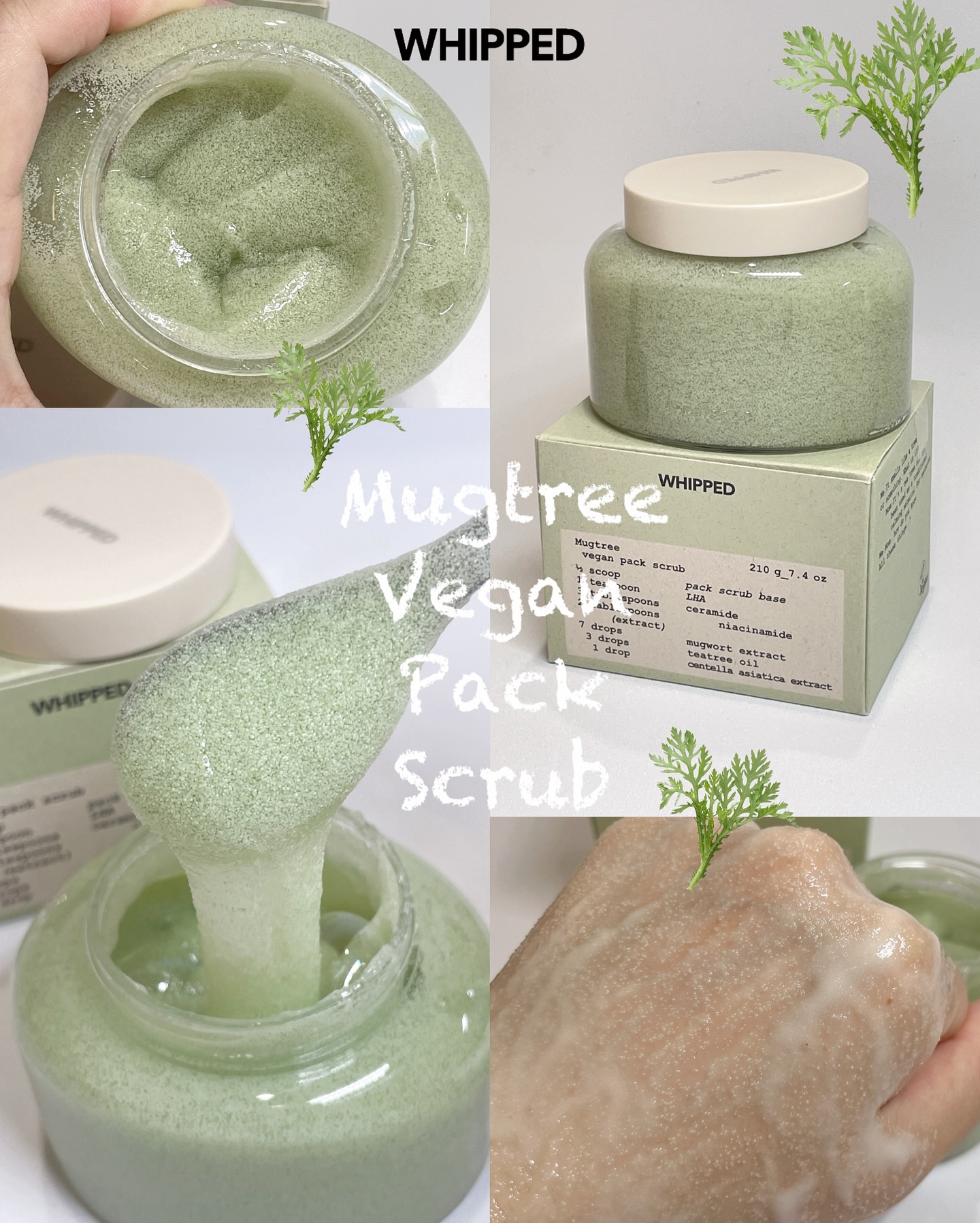 ヴィーガンパッククレンザー/WHIPPED/洗顔フォームを使ったクチコミ（1枚目）