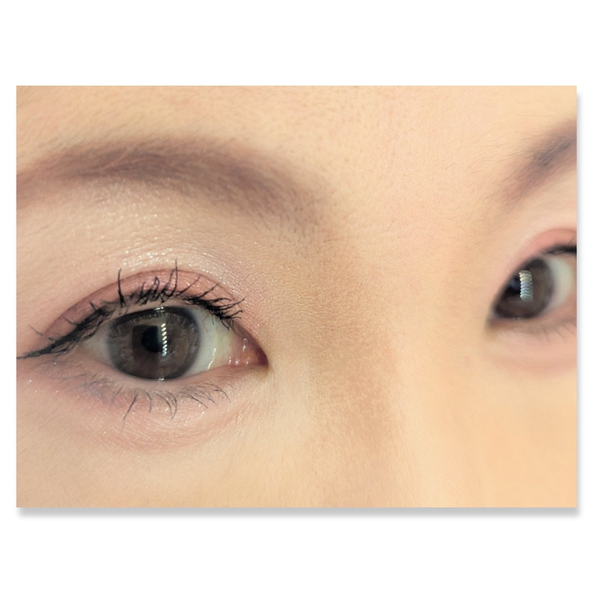 マイキティアイパレット/MilleFée/アイシャドウパレットを使ったクチコミ（2枚目）