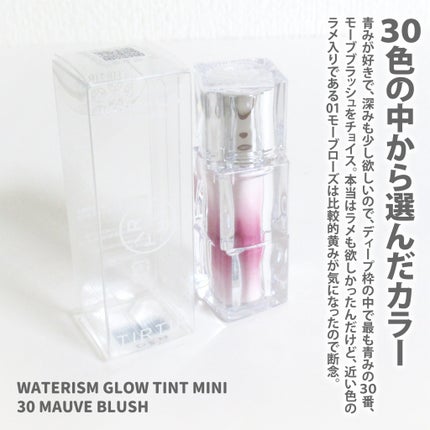 ウォーターリズムグロウティント 30 MAUVE BLUSH(ミニ)/TIRTIR(ティルティル)/リップティントの画像