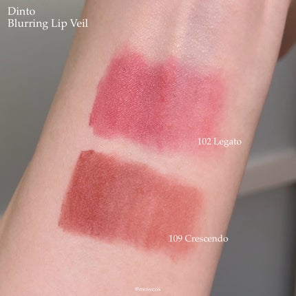 マダムバタフライコレクション ブラーニングリップベール/Dinto/口紅を使ったクチコミ(2枚目)