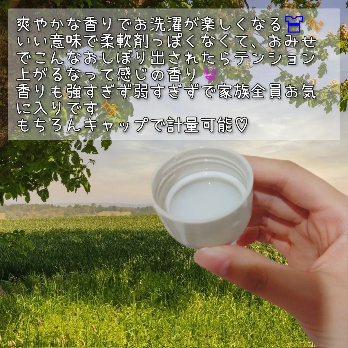 パフュームヴィーガン柔軟剤 ホワイトムスク&アンバー/LAVOIR/柔軟剤を使ったクチコミ(3枚目)