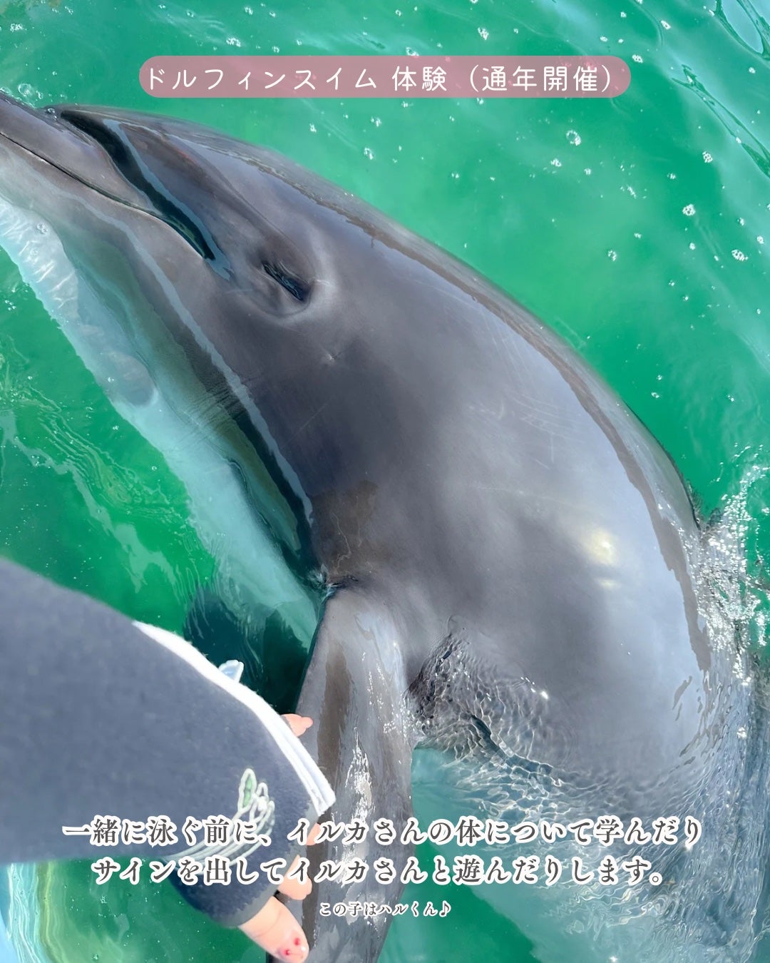 HARUð°ãããæšããã«ãå¬ã³ã¹ã¡ð on LIPS ãð¬ã€ã«ã«ãšéãã§çŸå®¹ïŒå¥åº·UPâ¡çãã®ãã«ãã£ã³ã¹ã€ã äœéšã¬ã..ãïŒ4æç®ïŒ