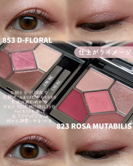 ディオールショウ サンク クルール 823 ローザ ムタビリス/Dior/アイシャドウの画像