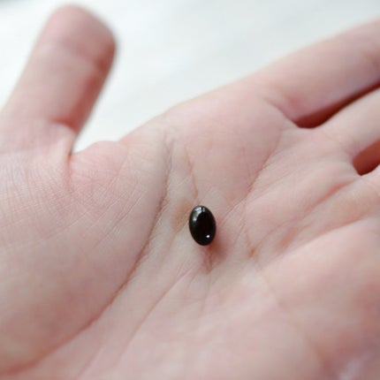 美減茶/Kwangdong/ドリンクを使ったクチコミ(6枚目)