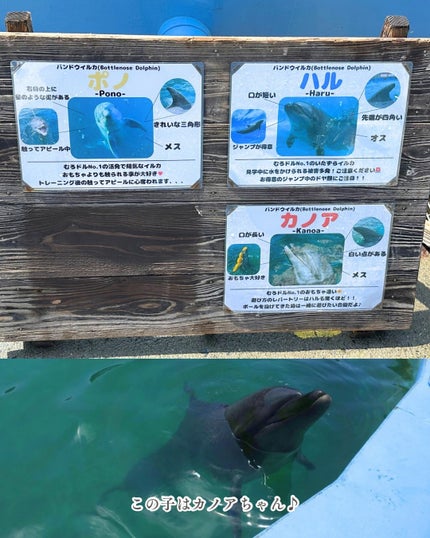 HARUð°ãããæšããã«ãå¬ã³ã¹ã¡ð on LIPS ãð¬ã€ã«ã«ãšéãã§çŸå®¹ïŒå¥åº·UPâ¡çãã®ãã«ãã£ã³ã¹ã€ã äœéšã¬ã..ãïŒ5æç®ïŒ