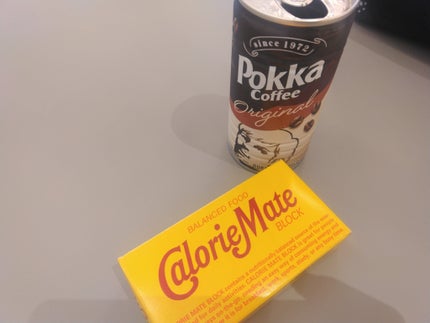 カロリーメイト ブロック/大塚製薬/バランス栄養食を使ったクチコミ(1枚目)