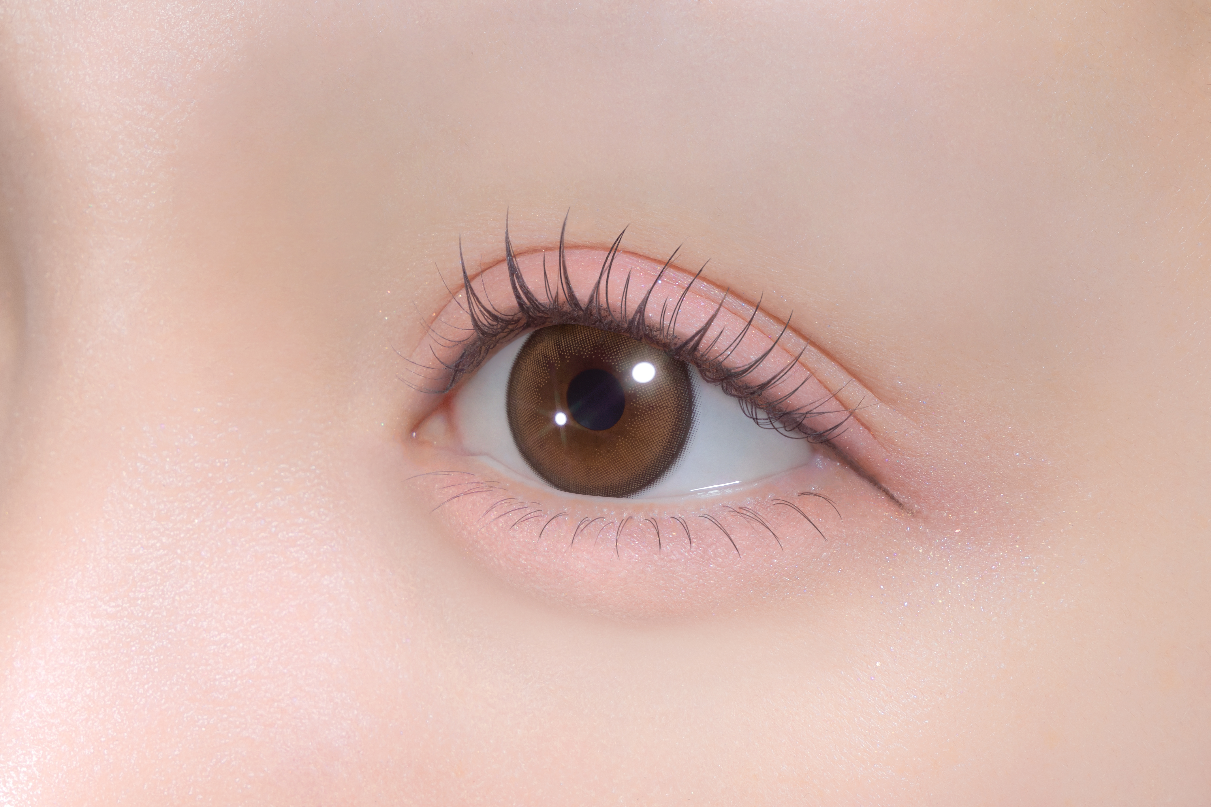 Chapun 1DAY きらゆめブラウン