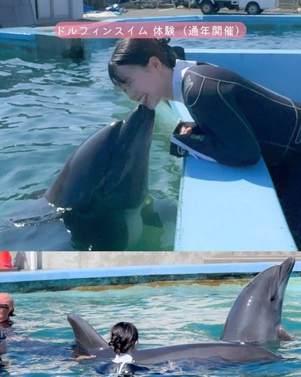 ã䜿ã£ãã¯ãã³ãïŒ3æç®ïŒ