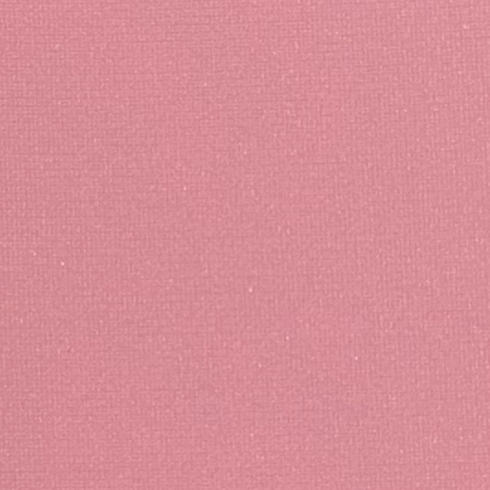 ブラッシュ N/NARS/パウダーチークを使ったクチコミ（2枚目）