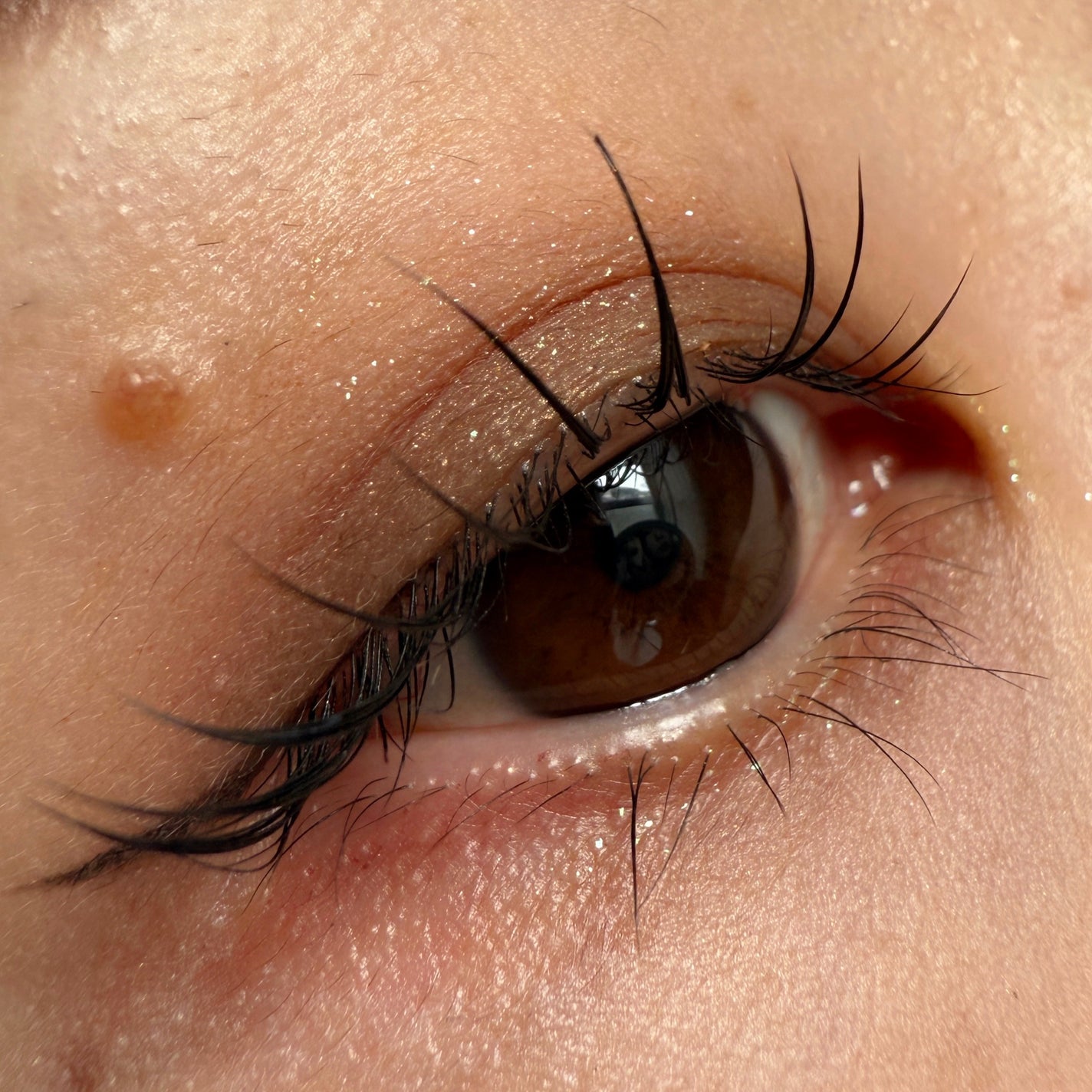 アディクション ザ シングル アイシャドウ マット/ADDICTION/単色アイシャドウを使ったクチコミ(1枚目)