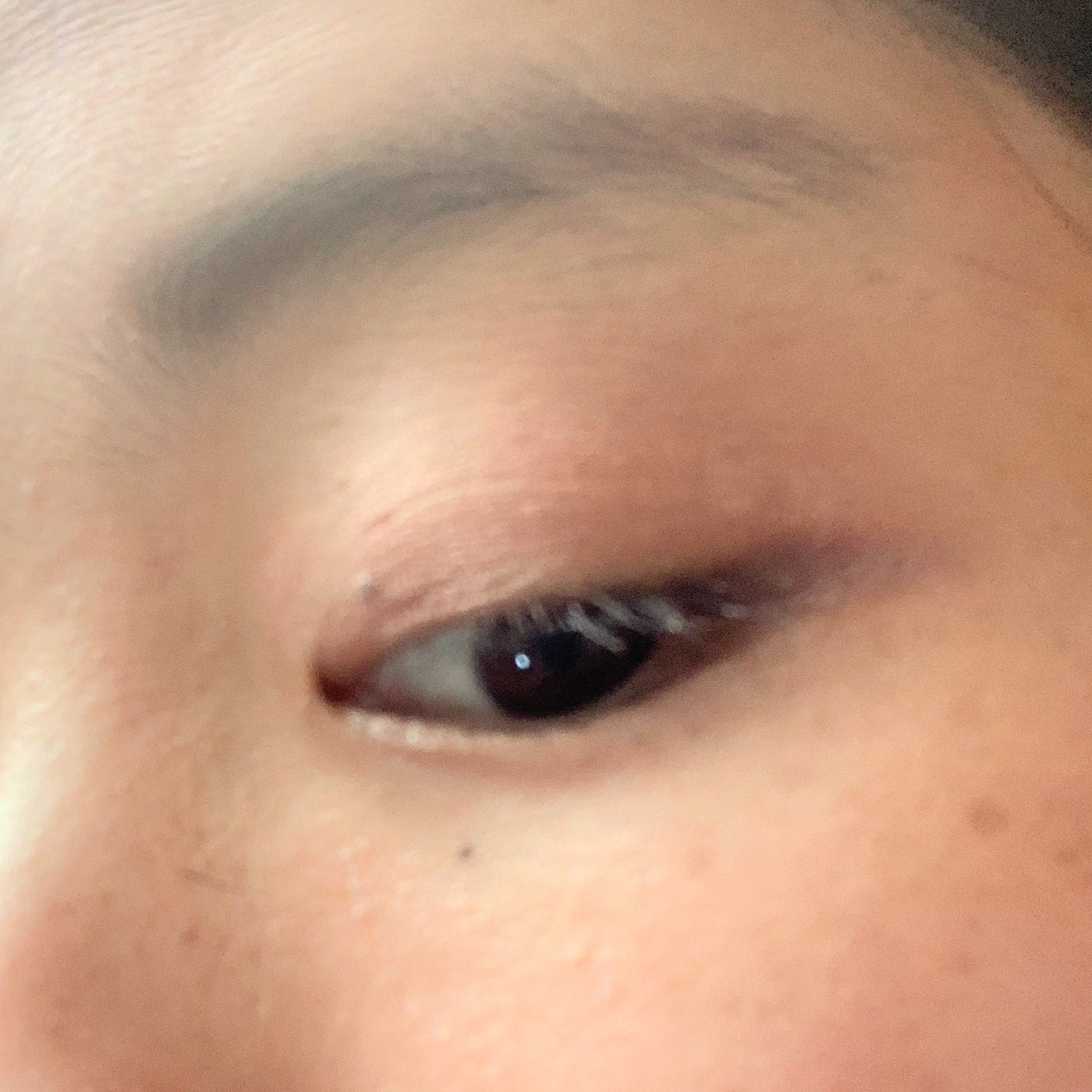 ケイト メロウブラウンアイズ/KATE/アイシャドウパレットを使ったクチコミ(2枚目)