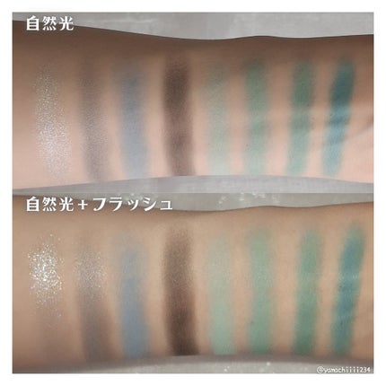 HOROSCOPE COLLECTION/SHEGLAM/アイシャドウパレットを使ったクチコミ(6枚目)