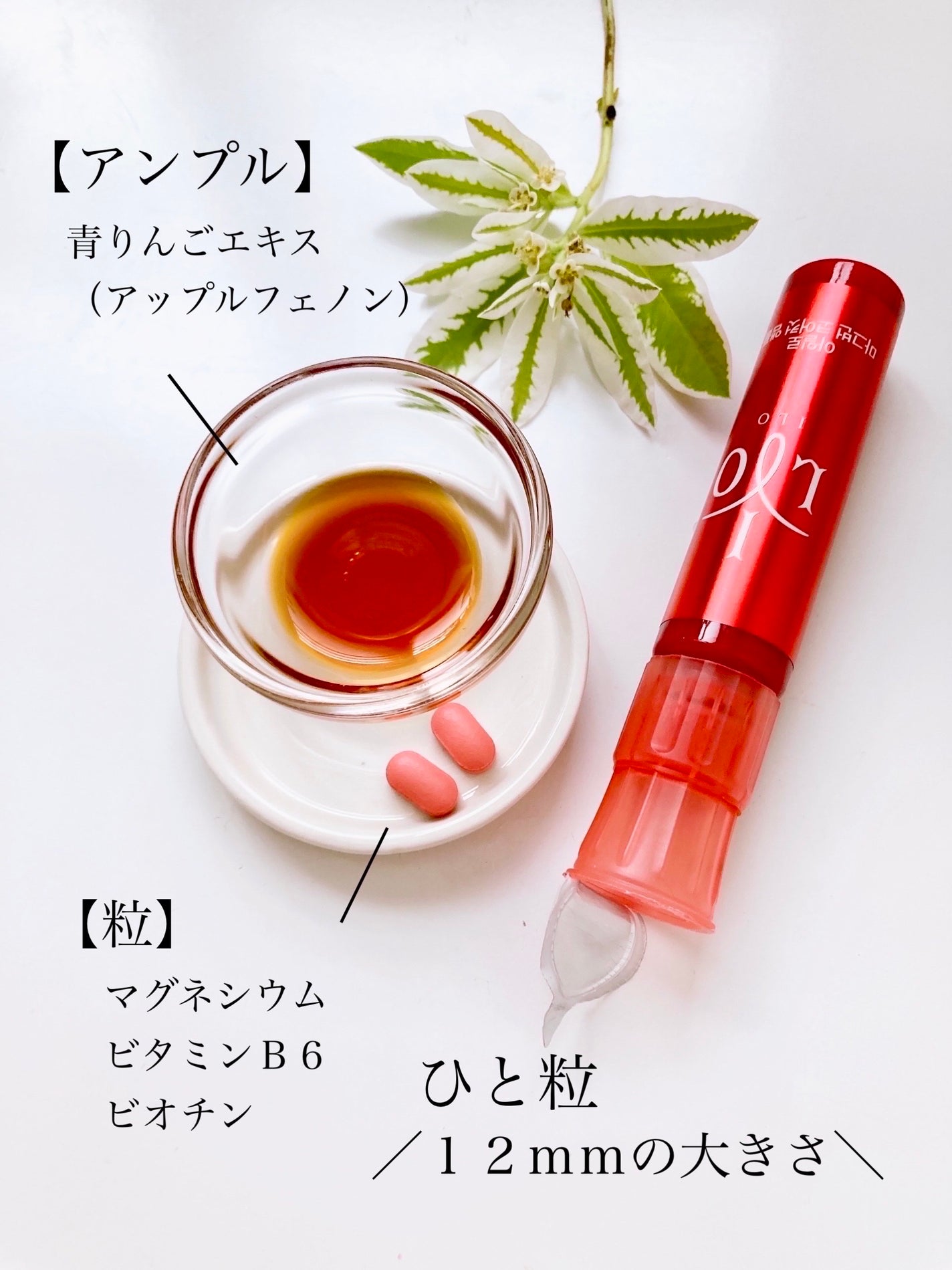 Yuki ♡フォロバ on LIPS 「「アイロ」さまから商品提供していただきました♡韓国式ヘルスケア..」(7枚目)