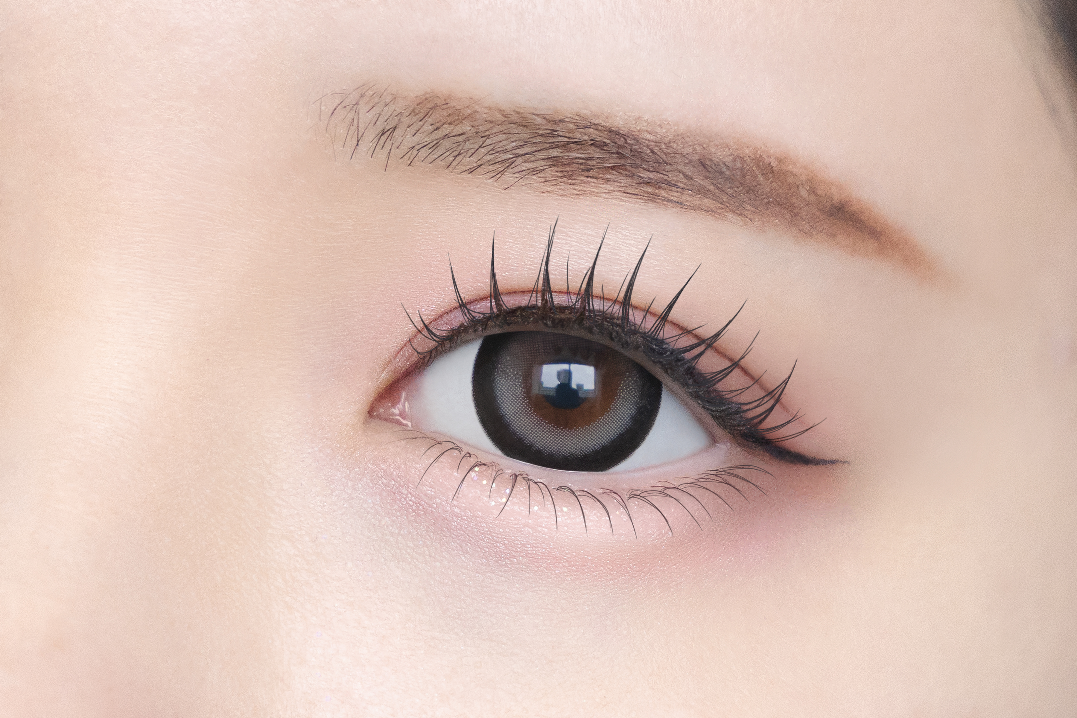 Chapun 1DAY ときとめグレー