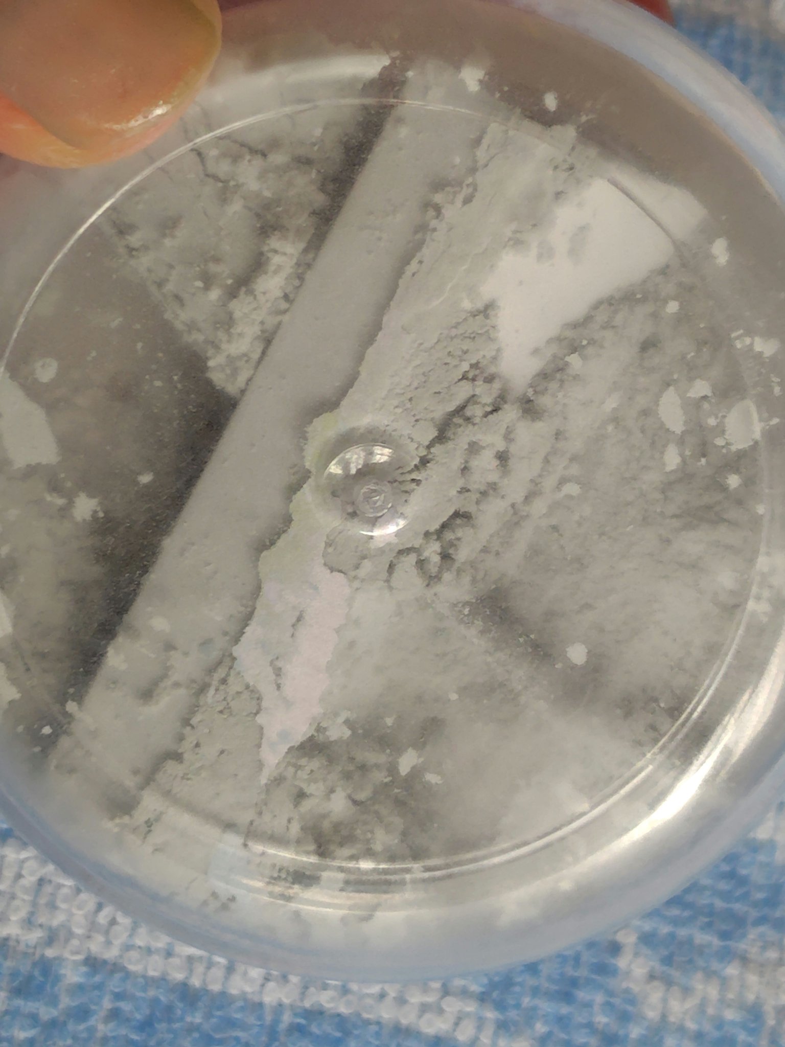 コンパクトパウダーケース/セリア/その他化粧小物を使ったクチコミ（2枚目）