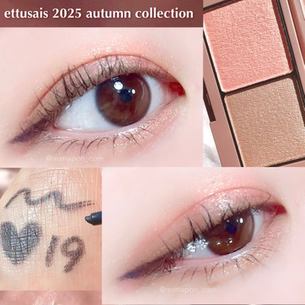 エテュセ アイエディション(カラーパレット)/ettusais/アイシャドウパレットを使ったクチコミ(4枚目)
