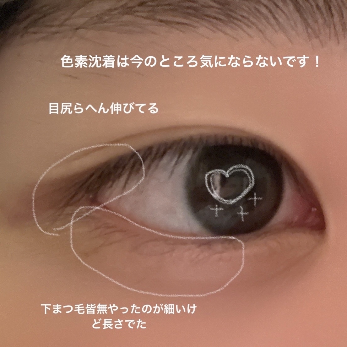 EMAKED（エマーキット） 10％増量/水橋保寿堂製薬/まつげ美容液を使ったクチコミ（2枚目）