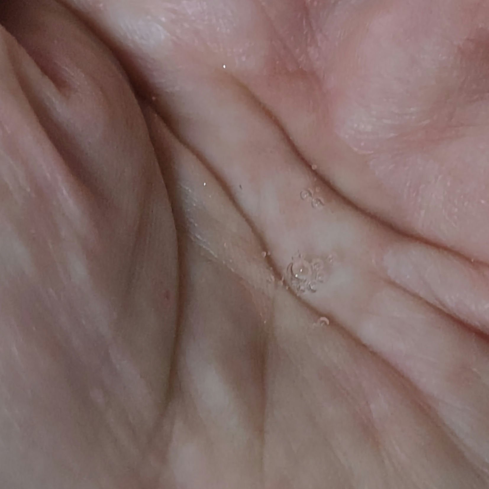 オバジ オバジC クリアアドバンスドローションのクチコミ「アットコスメのお祭りイベントで貰ったサンプル

オバジ🌿

オバジC クリアアドバンスドローシ.....」（3枚目）