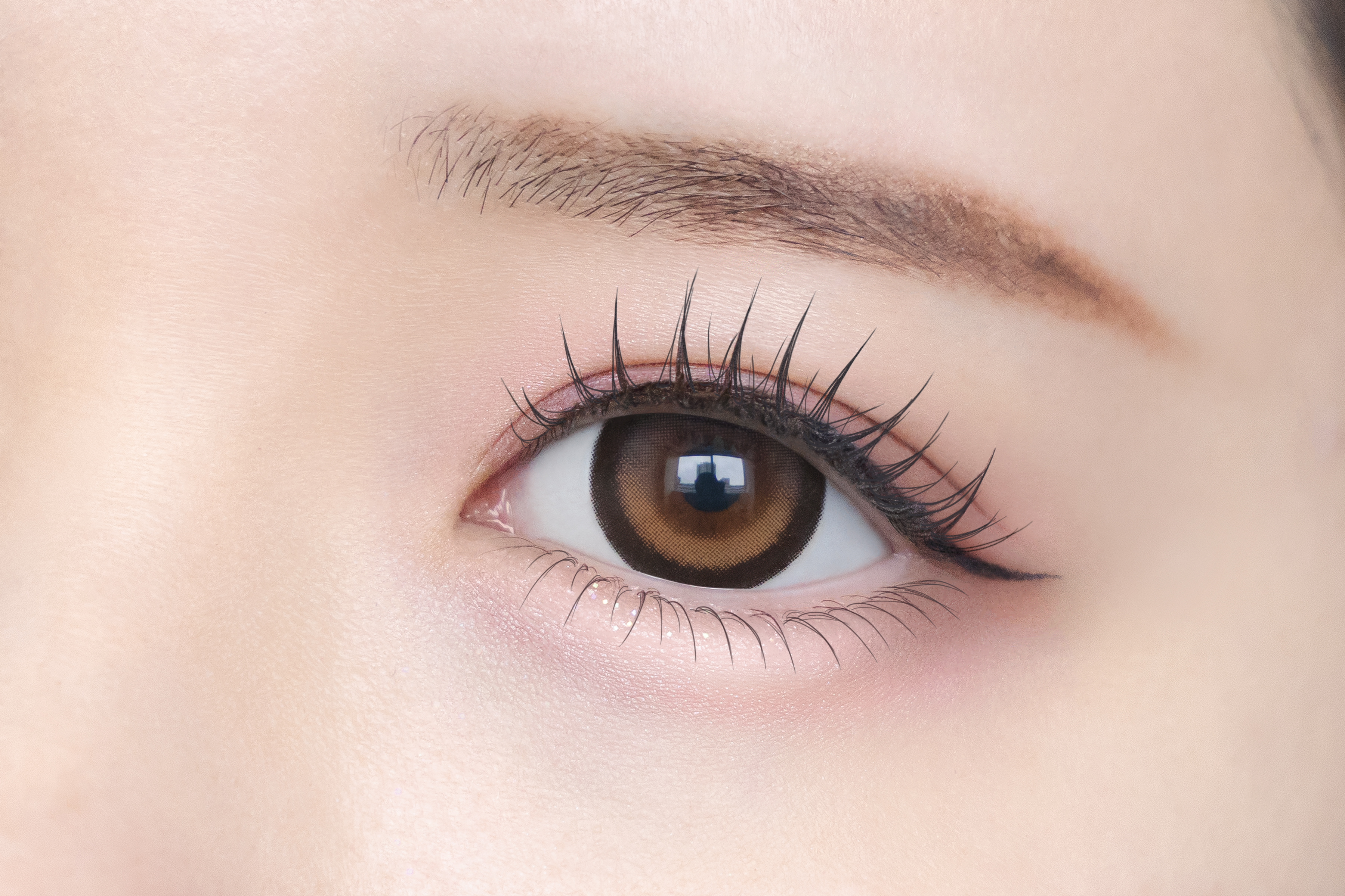 Chapun 1DAY ときとめブラウン