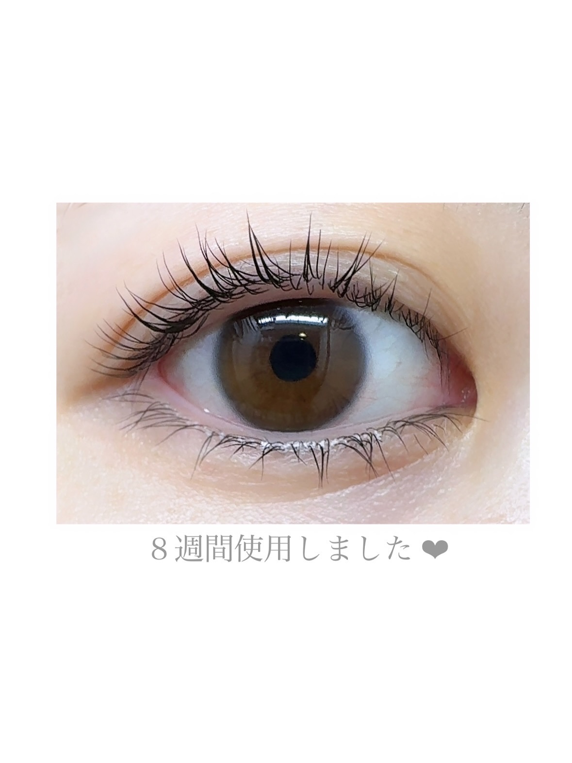 アイラッシュセラム100EX/COSNORI/まつげ美容液を使ったクチコミ（2枚目）