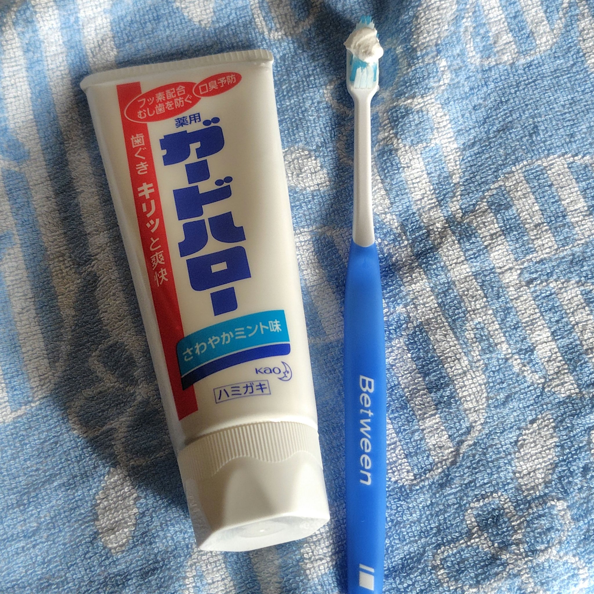 ビトイーンライオン レギュラー かため/ビトイーン/歯ブラシを使ったクチコミ（1枚目）