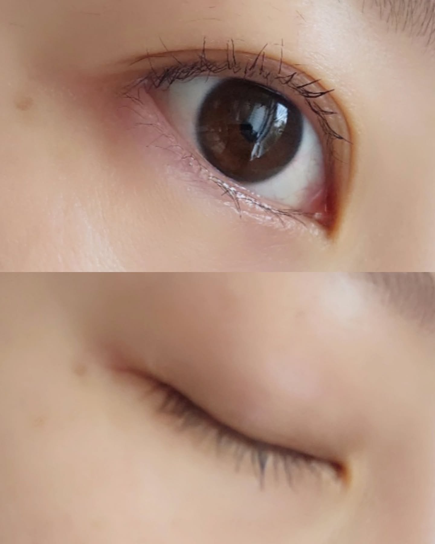 オペラ マイラッシュ アドバンスト/OPERA/マスカラを使ったクチコミ（3枚目）