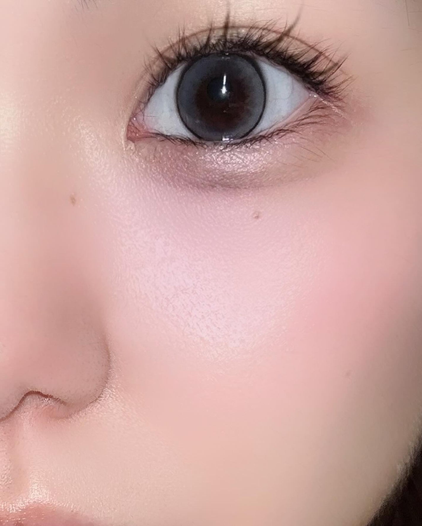 MOLAK 1day/MOLAK/ワンデー(1DAY)カラコンを使ったクチコミ(2枚目)