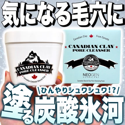 カナディアンクレイ ポア クレンザー/NEOGEN/洗い流すパック・マスクを使ったクチコミ(1枚目)