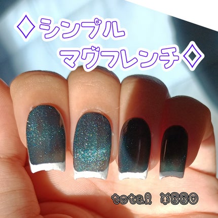 パルP薄型ネイルチップ/parkikoi/ネイルチップ・パーツを使ったクチコミ(1枚目)