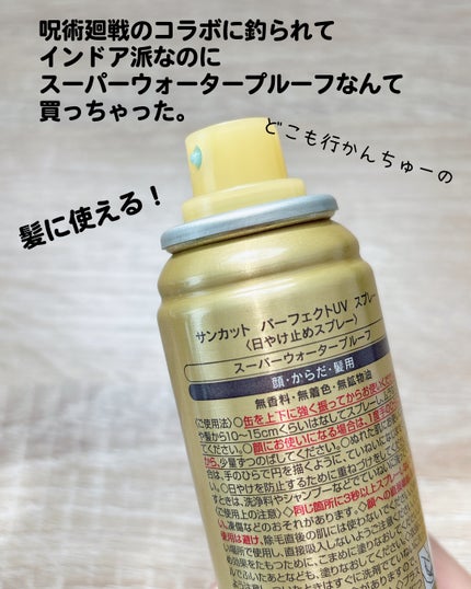 サンカットR パーフェクトUV スプレー/サンカット®/日焼け止めミスト・スプレーを使ったクチコミ(2枚目)