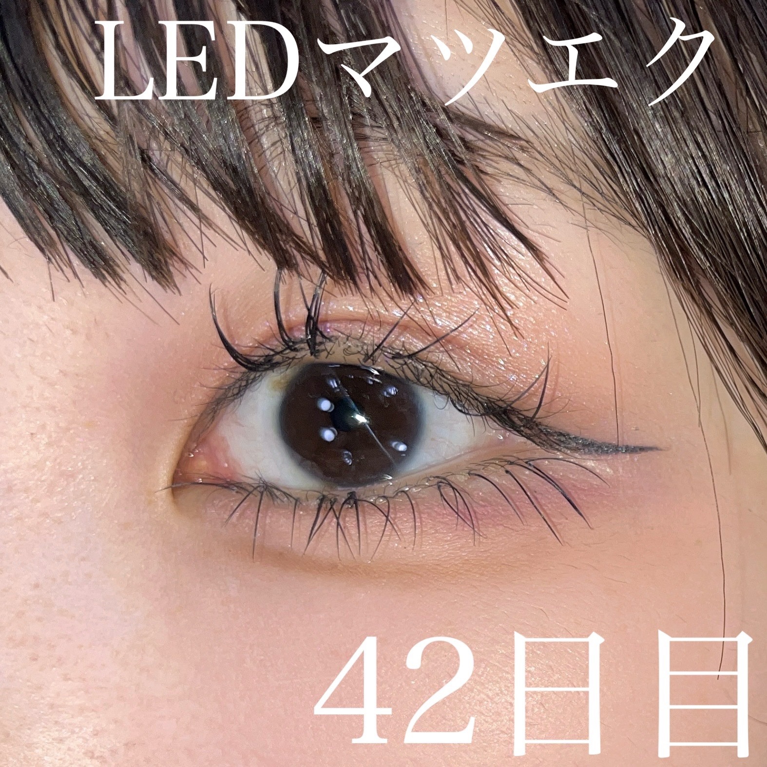 メロウシャドウ/KiSS/ジェル・クリームアイシャドウを使ったクチコミ（1枚目）