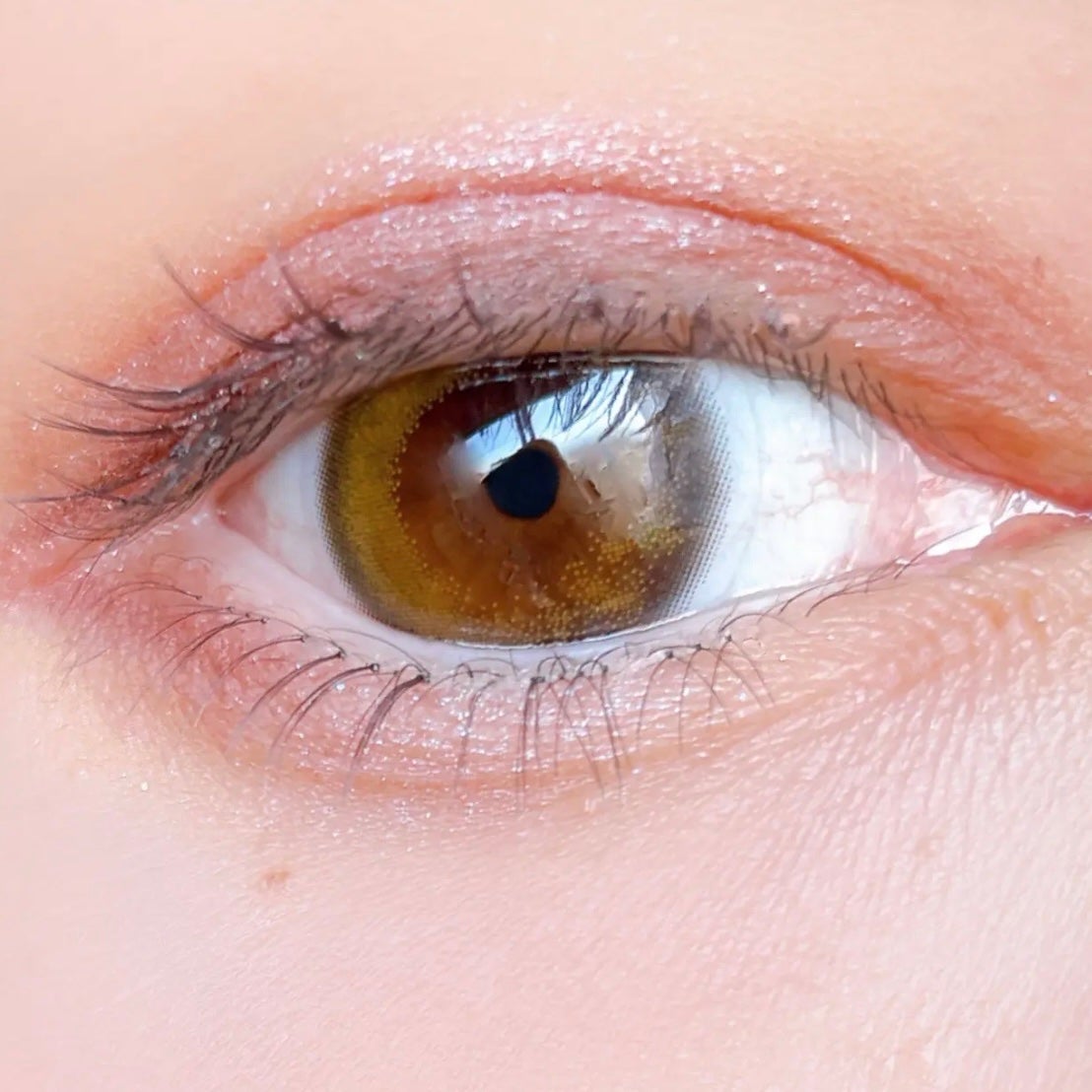 6色アイシャドウパレット/and us/アイシャドウパレットを使ったクチコミ(4枚目)