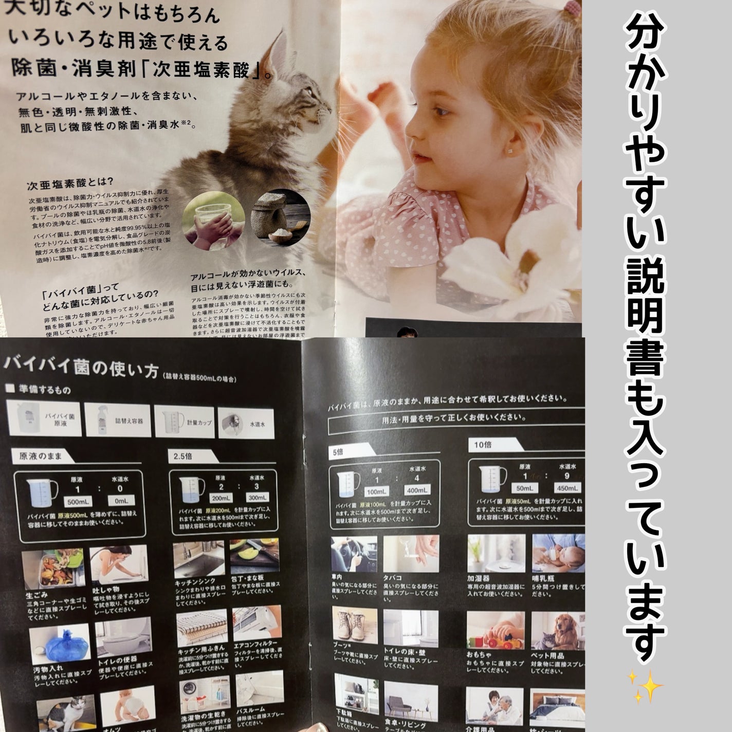次亜塩素酸水 バイバイ菌/ジアニスト/その他を使ったクチコミ(4枚目)