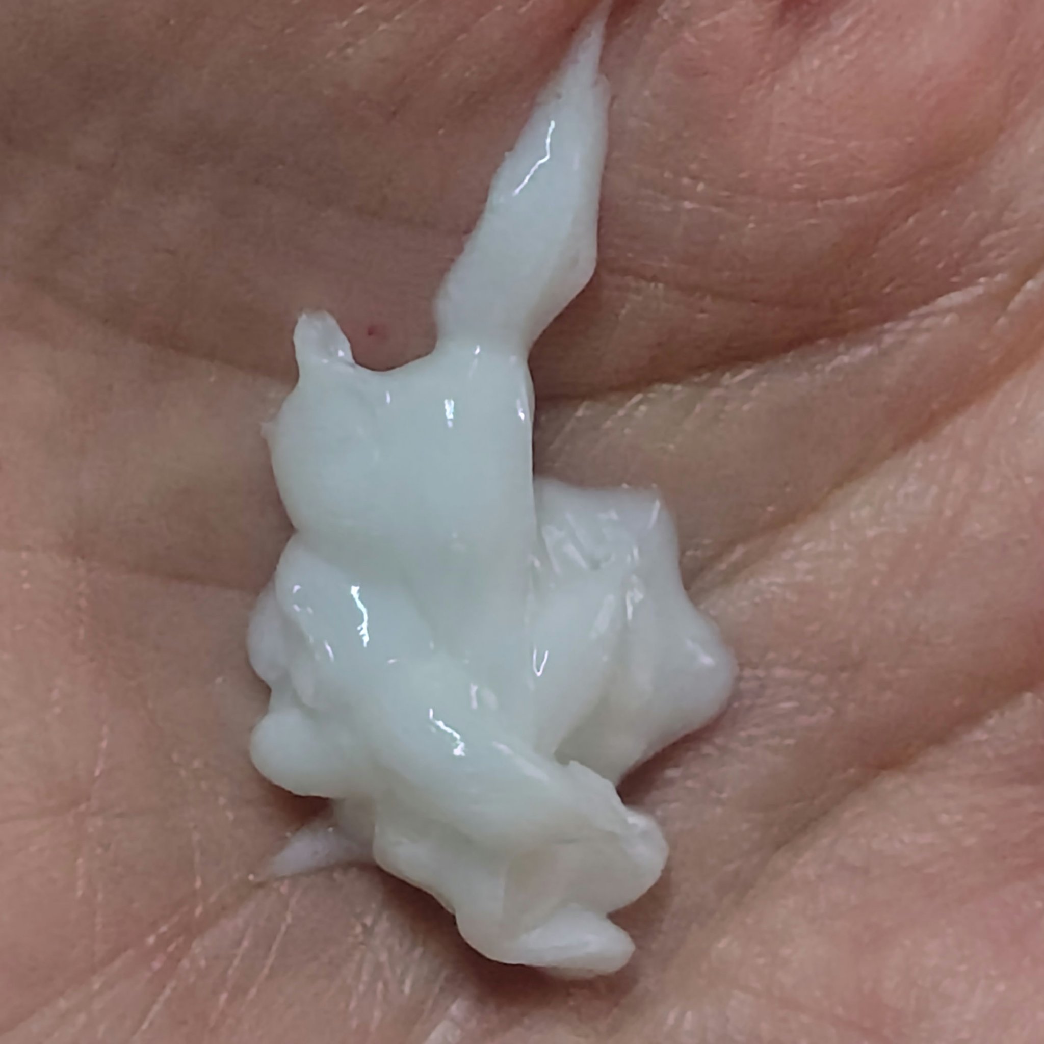 モイストクリーミィソープ/リサージ/洗顔フォームを使ったクチコミ（3枚目）