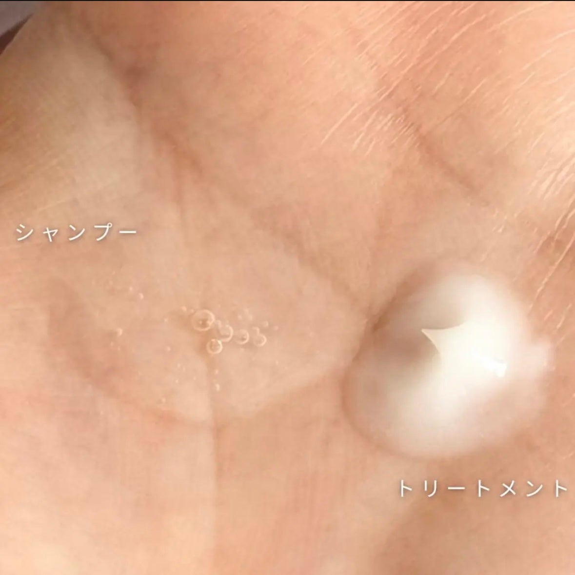 ナイトリペア シャンプー/ヘアトリートメント/THERATIS/シャンプー・コンディショナーを使ったクチコミ(2枚目)