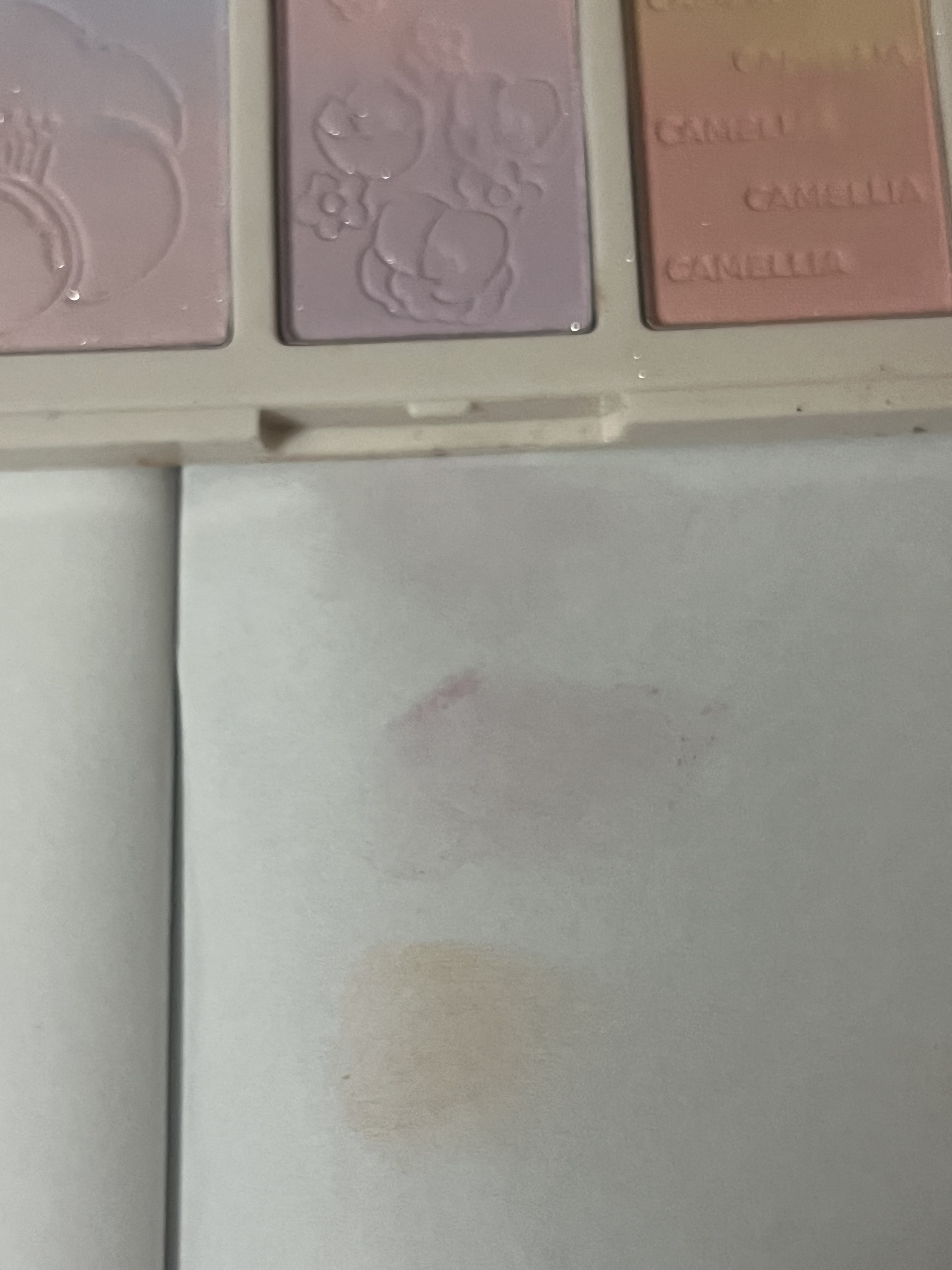 3in1 グラデーション チーク/xixi/パウダーチークを使ったクチコミ（2枚目）