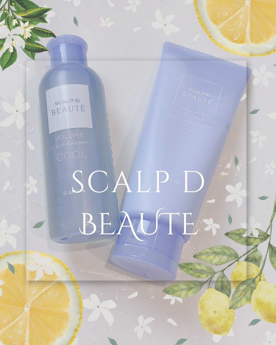 スカルプD ボーテ スカルプシャンプー/トリートメントパック ボリューム クール/アンファー(スカルプD)/市販シャンプーを使ったクチコミ(1枚目)