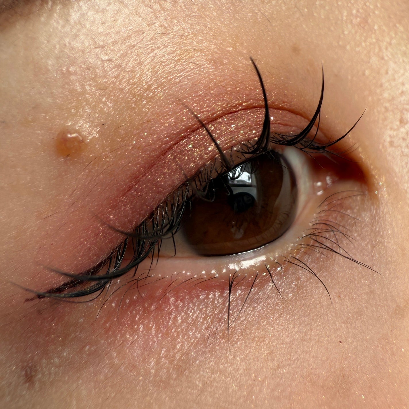 アディクション ザ シングル アイシャドウ マット/ADDICTION/単色アイシャドウを使ったクチコミ(1枚目)