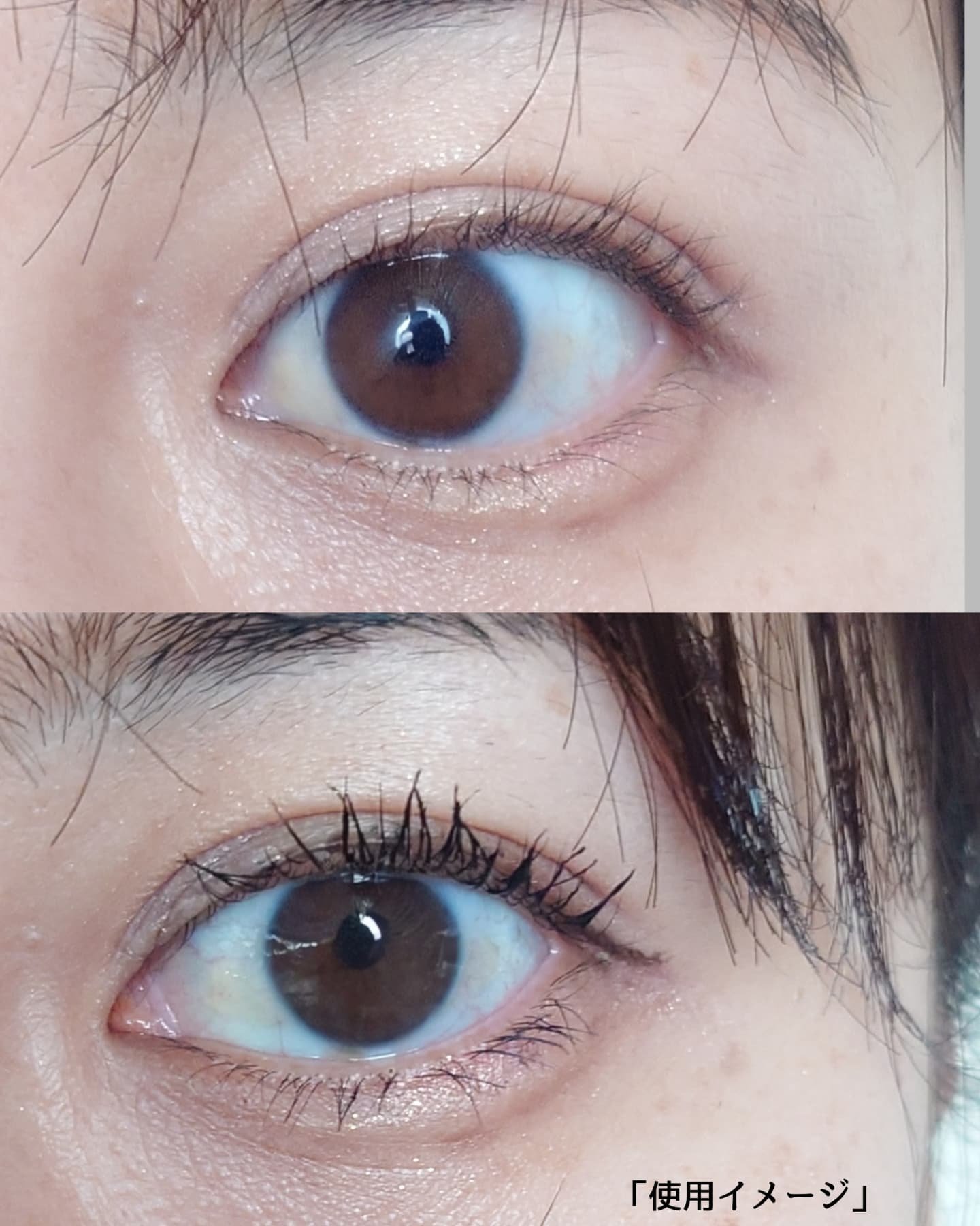 カールフィックスマスカラ/ETUDE/マスカラを使ったクチコミ（3枚目）