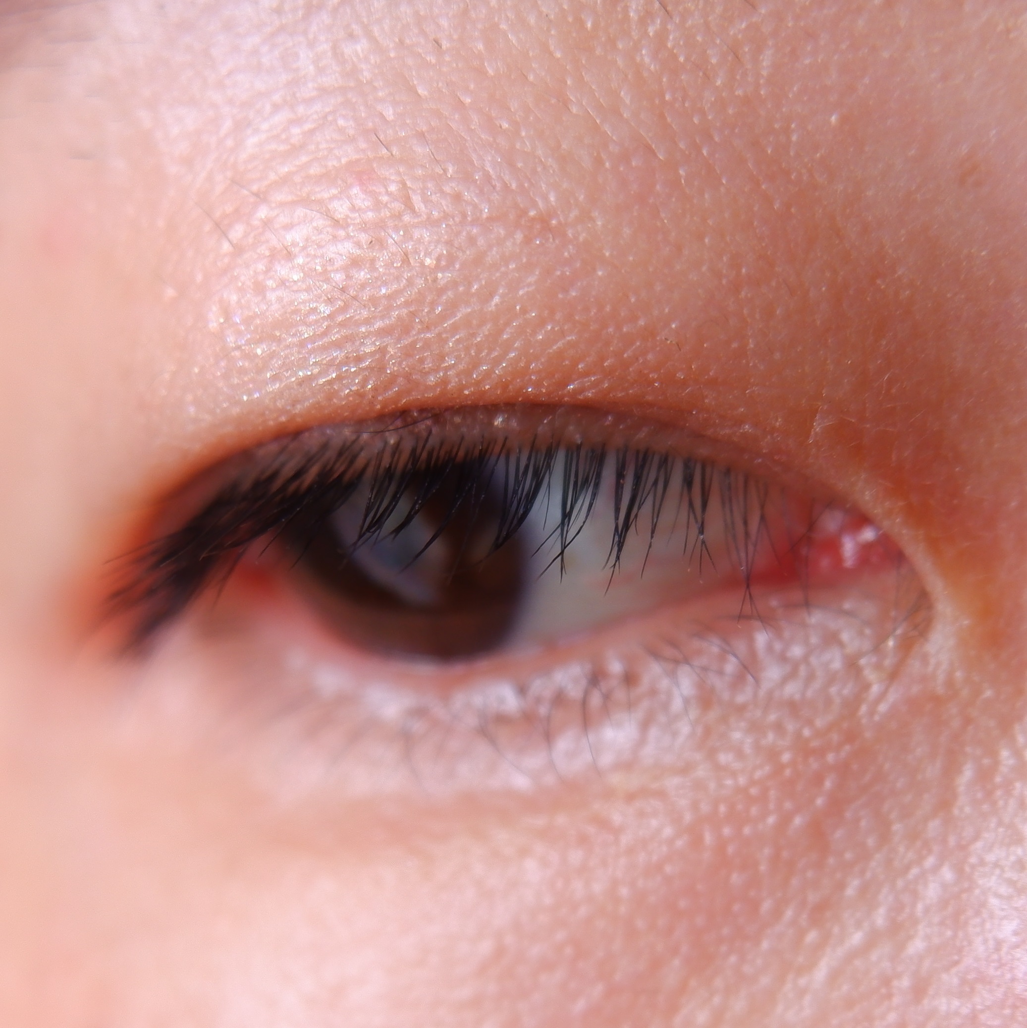 ディテールフィット マスカラ/Visée/マスカラを使ったクチコミ（3枚目）