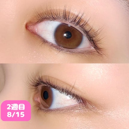 スカルプDまつ毛美容液 クイーン/アンファー(スカルプD)/まつげ美容液を使ったクチコミ(2枚目)