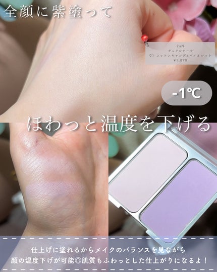 デュアルチーク/2aN/パウダーチークを使ったクチコミ(6枚目)