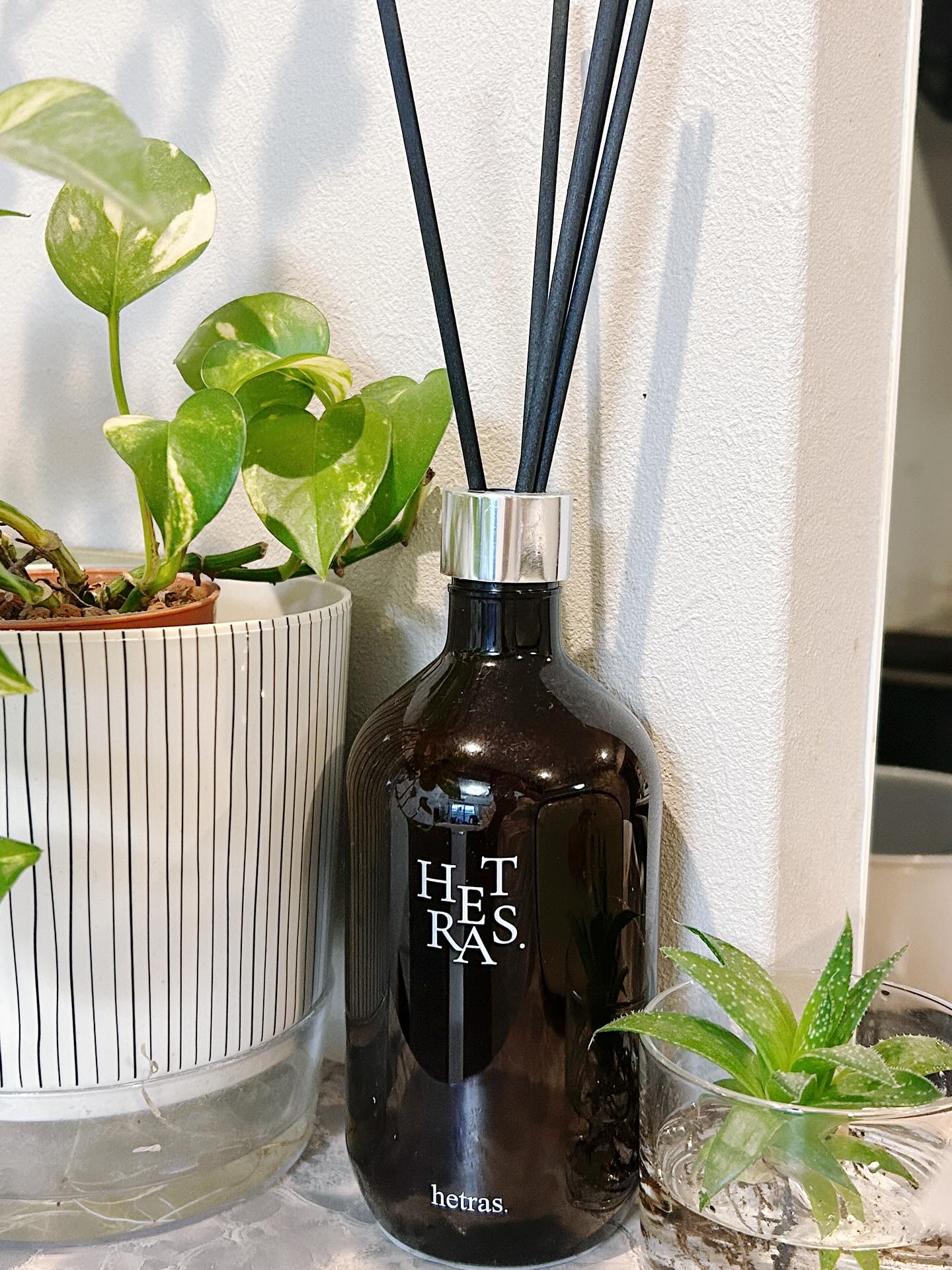 へトラス大容量ディフューザー/hetras/その他を使ったクチコミ（1枚目）