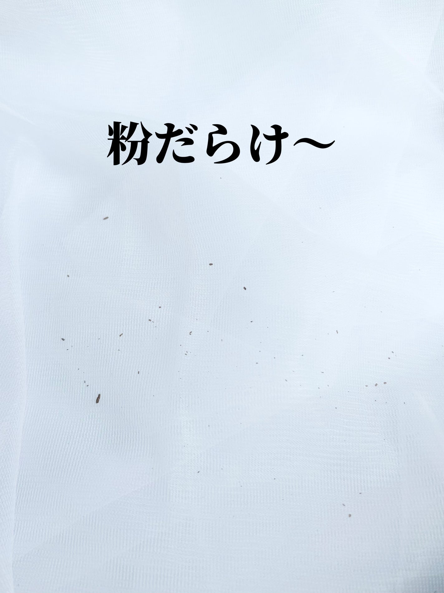 ブレンドカラーシェーディング/CEZANNE/シェーディングを使ったクチコミ(3枚目)