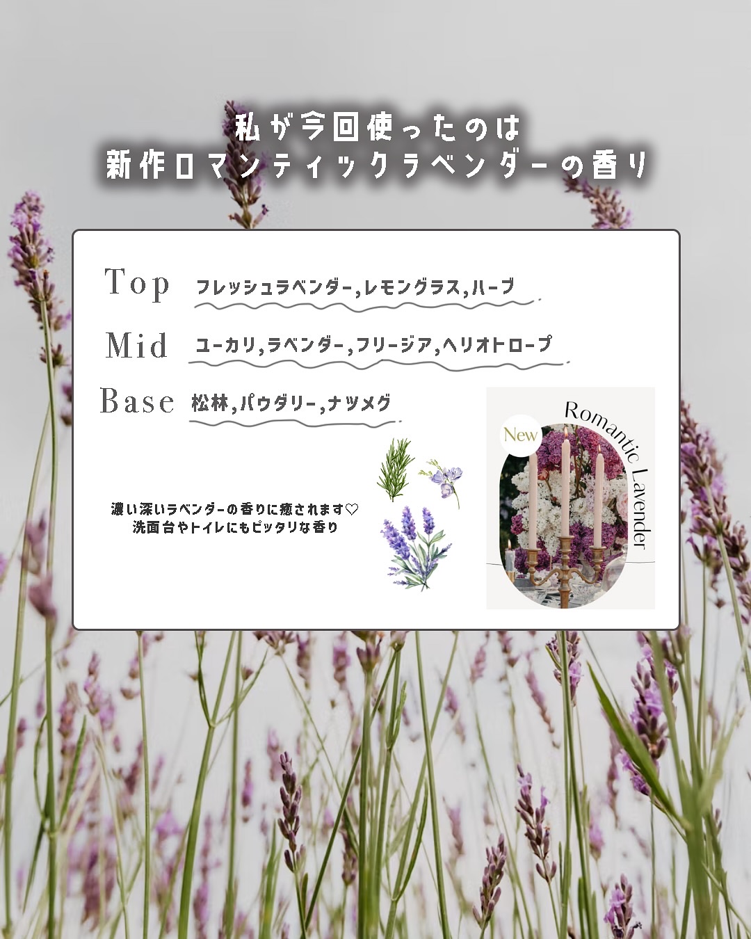 へトラス大容量ディフューザー/hetras/その他を使ったクチコミ（2枚目）